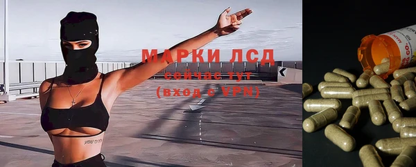 спиды Алзамай