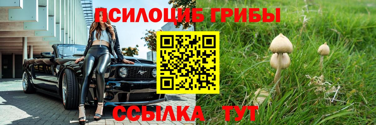 Галлюциногенные грибы ЛСД Ковров